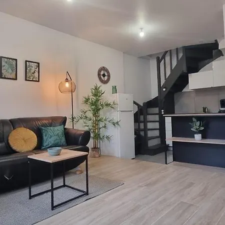 1- Duplex 44 M2 Apartment